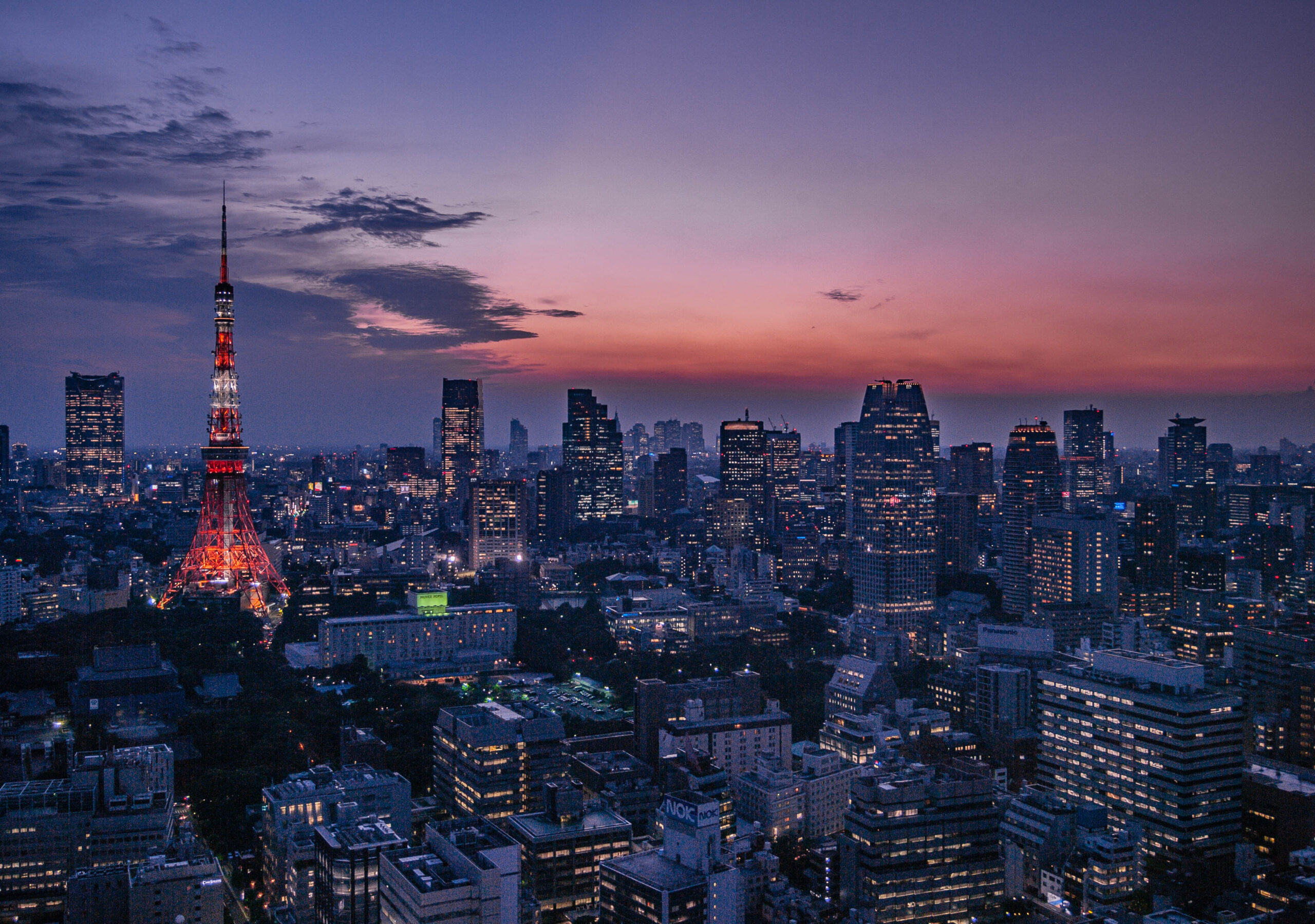 Tokyo Twilight